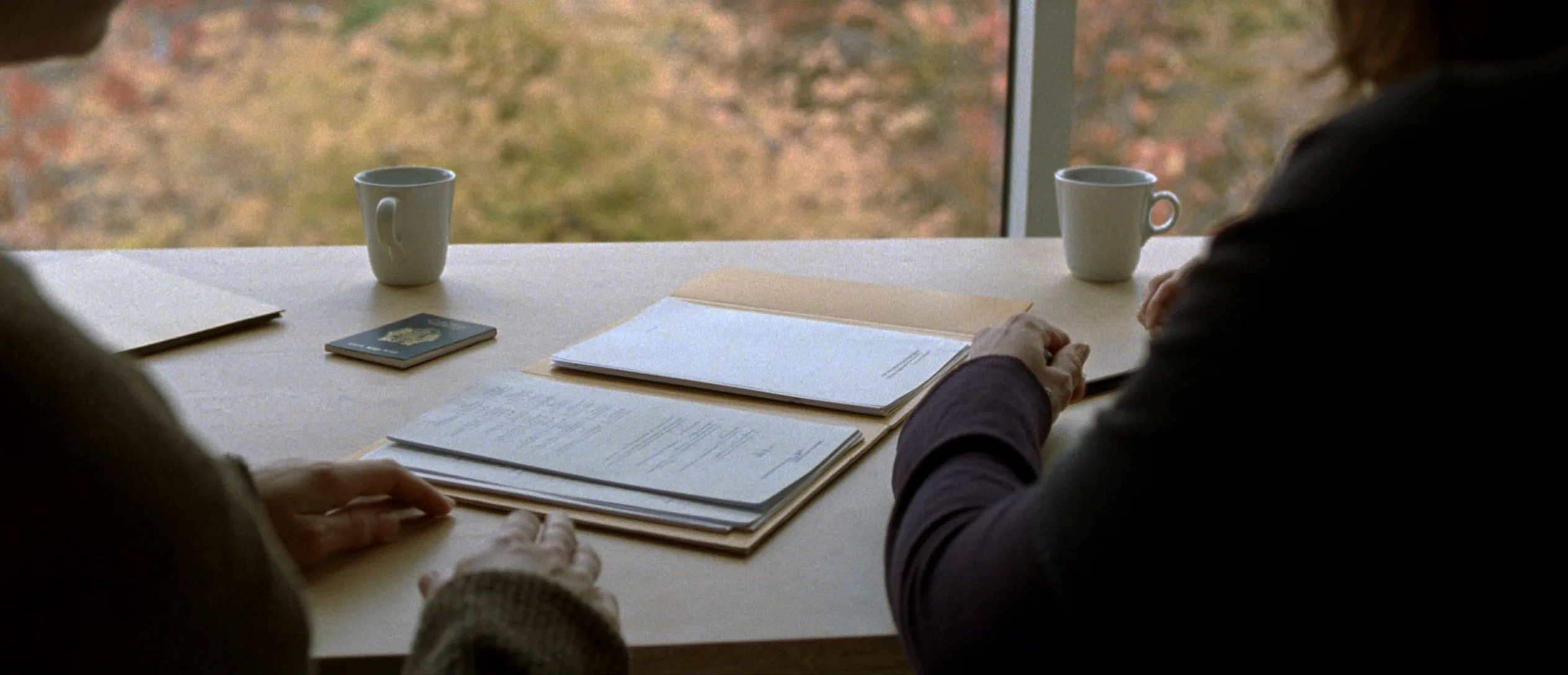 Two people reviewing immigration documents and a passport at a window table during a consultation